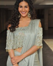Manasuku Nachindi Movie Heroine Amyra Dastur Photos