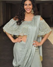 Manasuku Nachindi Movie Heroine Amyra Dastur Photos