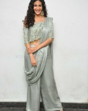Manasuku Nachindi Movie Heroine Amyra Dastur Photos