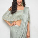Amyra Dastur 32 Manasuku Nachindi Movie Heroine Amyra Dastur Photos