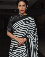 Manasuku Nachindi Movie Heroine Amyra Dastur Photos