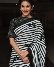 Manasuku Nachindi Movie Heroine Amyra Dastur Photos