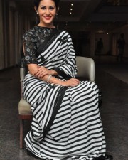 Manasuku Nachindi Movie Heroine Amyra Dastur Photos