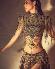 Mesmerizing Actress Mouni Roy in a Gold Chain Embellished Gown Photos 03