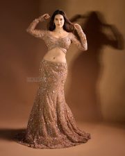 Mumbai Actress Amyra Dastur in a Golden Full Sleeved Blouse and Skirt Photos 02