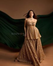 Mumbai Actress Amyra Dastur in a Golden Full Sleeved Blouse and Skirt Photos 05