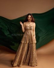 Mumbai Actress Amyra Dastur in a Golden Full Sleeved Blouse and Skirt Photos 06