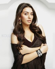 Rowdy Baby Actress Hansika Motwani Sexy Pictures 02