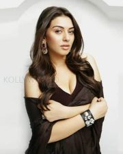 Rowdy Baby Actress Hansika Motwani Sexy Pictures 02