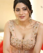 Nikki Tamboli 40 Sexy Actress Nikki Tamboli At Thippara Meesam Press Meet Pictures