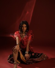 Sexy Poonam Pandey in a Traditional Outfit Pictures 02