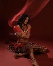 Sexy Poonam Pandey in a Traditional Outfit Pictures 05