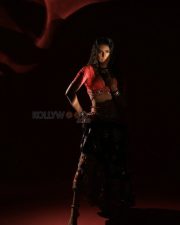 Sexy Poonam Pandey in a Traditional Outfit Pictures 08