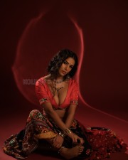 Sexy Poonam Pandey in a Traditional Outfit Pictures 09
