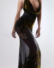 Sizzling Hot Vaani Kapoor in a Sheer Velvet Gown with Pluging Neckline Pictures 02