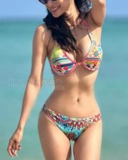 Sizzling Mouni Roy Bikini Pictures 02 Sizzling Mouni Roy Bikini Pictures 02