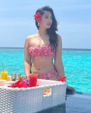 Sonal Chauhan Bikini Breakfast Photo 01