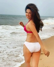 Sonal Chauhan White Bikini in Beach Photos