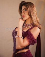 Sophisticated Actress Nikki Tamboli in a Wine Embroidered Saree Photos 01 Sophisticated Actress Nikki Tamboli in a Wine Embroidered Saree Photos 01