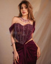 Sophisticated Actress Nikki Tamboli in a Wine Embroidered Saree Photos 02 Sophisticated Actress Nikki Tamboli in a Wine Embroidered Saree Photos 02