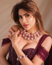 Sophisticated Actress Nikki Tamboli in a Wine Embroidered Saree Photos 03 Sophisticated Actress Nikki Tamboli in a Wine Embroidered Saree Photos 03