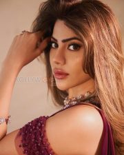 Sophisticated Actress Nikki Tamboli in a Wine Embroidered Saree Photos 06