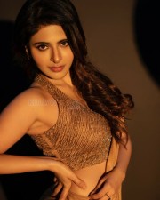 Spy Telugu Movie Heroine Iswarya Menon Sexy Hot Saree Photos 04 Spy Telugu Movie Heroine Iswarya Menon Sexy Hot Saree Photos 04