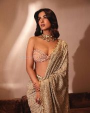 Stunning Actress Sonal Chauhan in a beige saree Photos 01