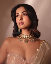 Stunning Actress Sonal Chauhan in a beige saree Photos 03