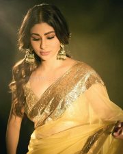 Stunning Mouni Roy in a Gold Organza Saree with Gold Borders Photos 03