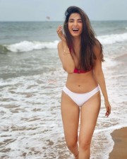 Stylish Diva Sonal Chauhan Bikini Photo 01