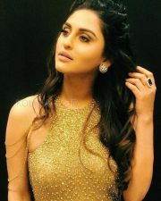 Tv Actress Krystle D Souza Photos