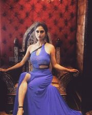 Tv Actress Krystle D Souza Photos
