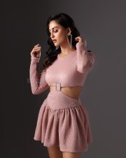 Visfot Actress Krystle Dsouza in a Sexy Short Cutout Dress Photos 02