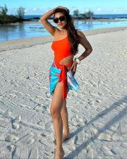 Visfot Actress Krystle Dsouza in an One Shoulder Orange Swimsuit Pictures 02