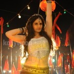 Zarine Khan Naan Rajavaga Pogiren Movie Item Song Pictures 05Zarine Khan Naan Rajavaga Pogiren Movie Item Song Pictures 05 svg%3E