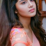 18 Pages Heroine Anupama Parameswaran Sexy Half Saree Pictures 05 18 Pages Heroine Anupama Parameswaran Sexy Half Saree Pictures 05