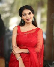Actress Ananya Nagalla at Sreekakulam Sherlock Holmes Trailer Launch Event Photos 14 Actress Ananya Nagalla at Sreekakulam Sherlock Holmes Trailer Launch Event Photos 14