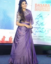Actress Anupama Parameswaran At Hello Guru Prema Kosame Success Meet Photos