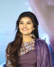Actress Anupama Parameswaran At Hello Guru Prema Kosame Success Meet Photos