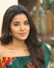 Actress Anupama Parameswaran At Hello Guru Premakosame Interview Photos