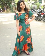 Actress Anupama Parameswaran At Hello Guru Premakosame Interview Photos