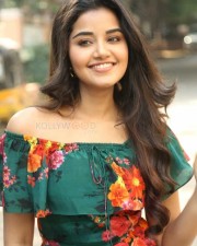Actress Anupama Parameswaran At Hello Guru Premakosame Interview Photos