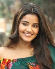 Actress Anupama Parameswaran At Hello Guru Premakosame Interview Photos