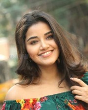 Actress Anupama Parameswaran At Hello Guru Premakosame Interview Photos