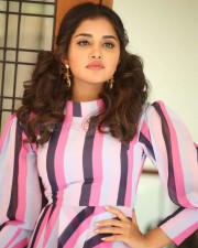 Actress Anupama Parameswaran At Rakshasudu Interview Photos