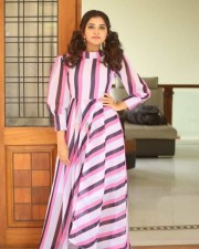 Actress Anupama Parameswaran At Rakshasudu Interview Photos