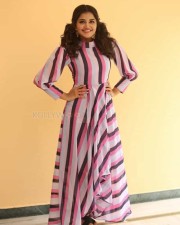 Actress Anupama Parameswaran At Rakshasudu Interview Photos