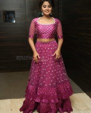 Actress Anupama Parameswaran At Rakshasudu Pre release Event Photos