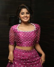 Actress Anupama Parameswaran At Rakshasudu Pre release Event Photos
